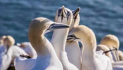 九游jiuyou-特色比赛：快速反应挑战赛热血开启，快速反应队伍