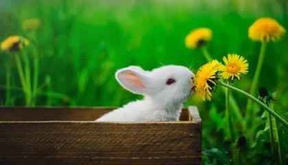 九游游戏中心下载-社交媒体热议：谁是本赛季最耀眼的车手？