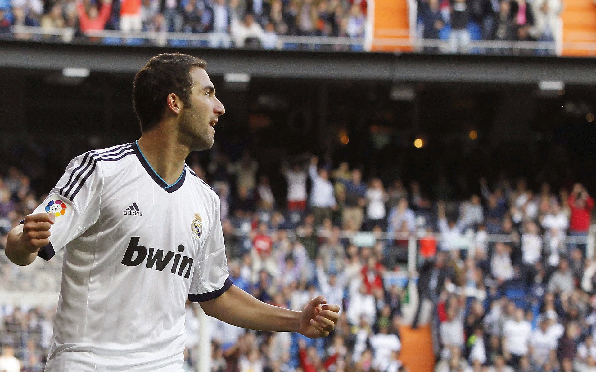 新兴足球场馆建设热潮推动城市面貌升级，新增足球场