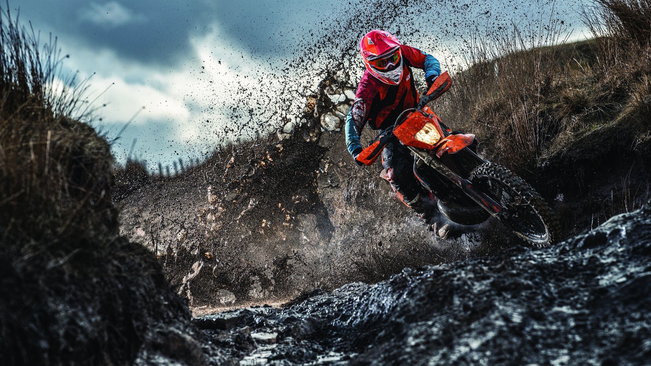 未来之路：电动化与自动驾驶在WRC的应用前景，自动驾驶电动汽车测试与评价技术